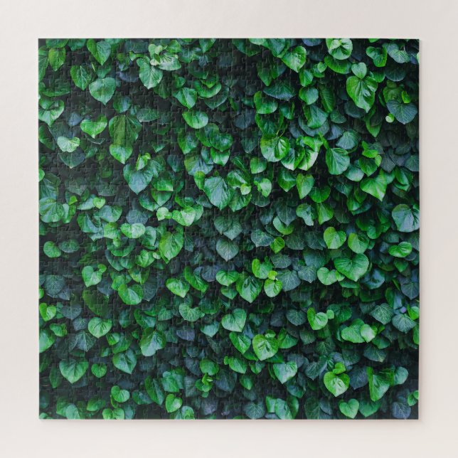 Ivy green wall: natural surface. jigsaw puzzle (Vertical)