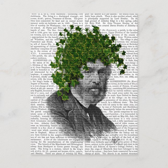 Ivy Head Plant Head Postcard (Front)