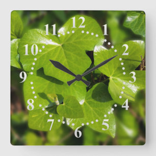 ivy in the sun square wall clock