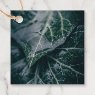 Ivy Leaves Nature Photo Favour Tags