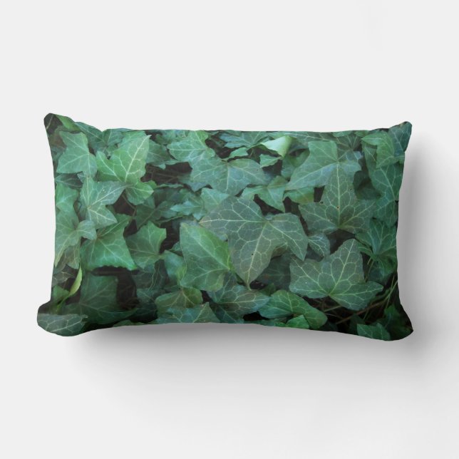 Ivy Lumbar Cushion (Front)