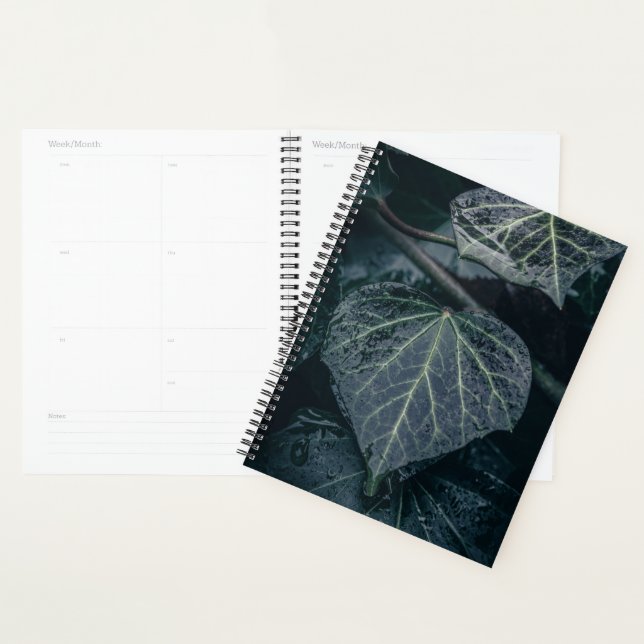 Ivy Nature Photo Planner (Display)