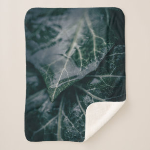 Ivy Nature Photo Sherpa Blanket