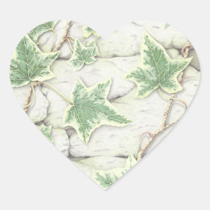 Ivy on a Dry Stone Wall in Pencil Heart Stickers