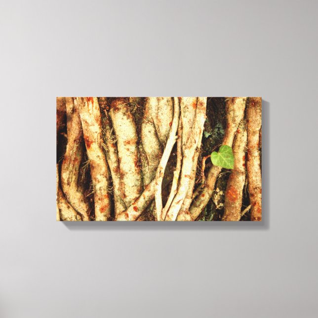Ivy On Oak Canvas Print (Front)