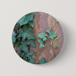 ivy on tree 6 cm round badge