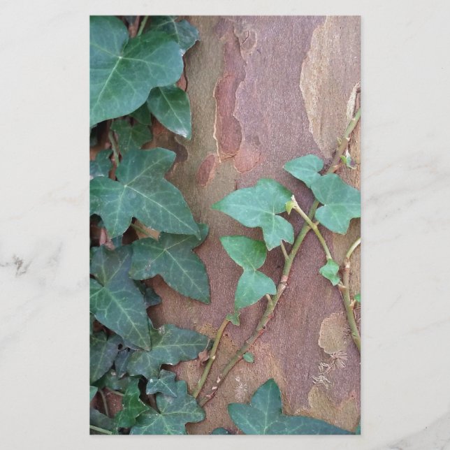 ivy on tree stationery (Front)