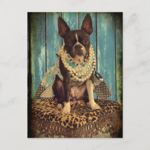 Ivy the Boston Terrier Postcard