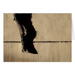 Ivy Vine and Shadow