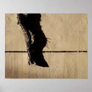 Ivy Vine and Shadow Poster