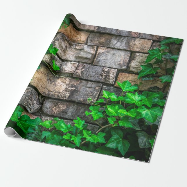 Ivy vine leaf plant broadleaf wrapping paper (Unrolled)