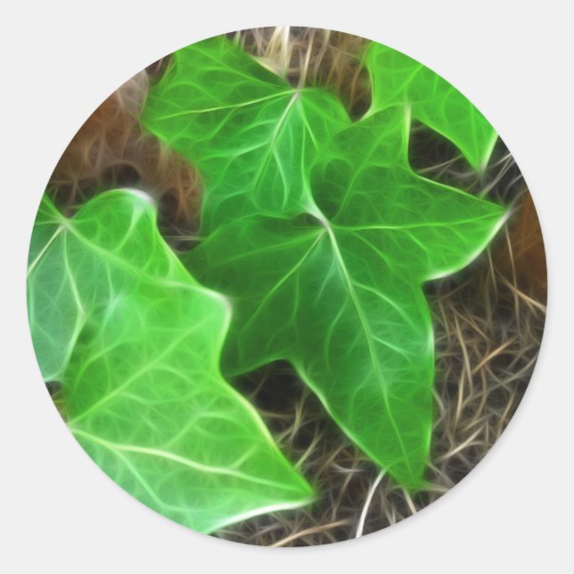 Ivy Vine on Palm Tree 5 Classic Round Sticker (Front)