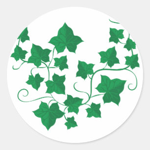 Ivy Vines Classic Round Sticker