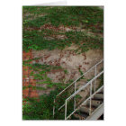 Ivy Vines, Stairs, Brick Wall, Washington, Iowa