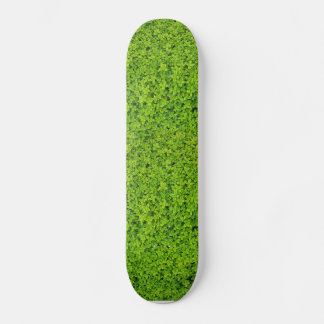 Ivy Wall Background Skateboard