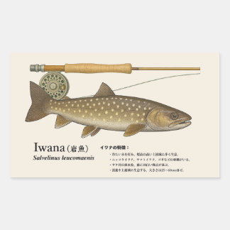 Iwana (Salvelinus leucomaenis) – Fish Illustration Rectangular Sticker