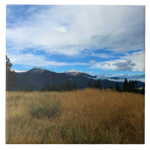 Iwetemlaykin State Heritage Site, OR Tile
