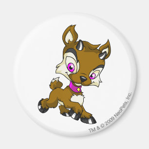 Ixi Brown Magnet