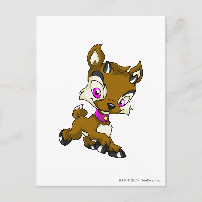 Ixi Brown Postcard (Front)