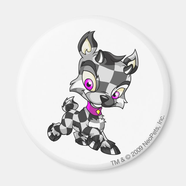 Ixi Chequered Magnet (Front)