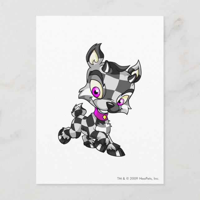 Ixi Chequered Postcard (Front)