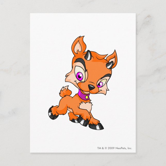 Ixi Orange Postcard (Front)