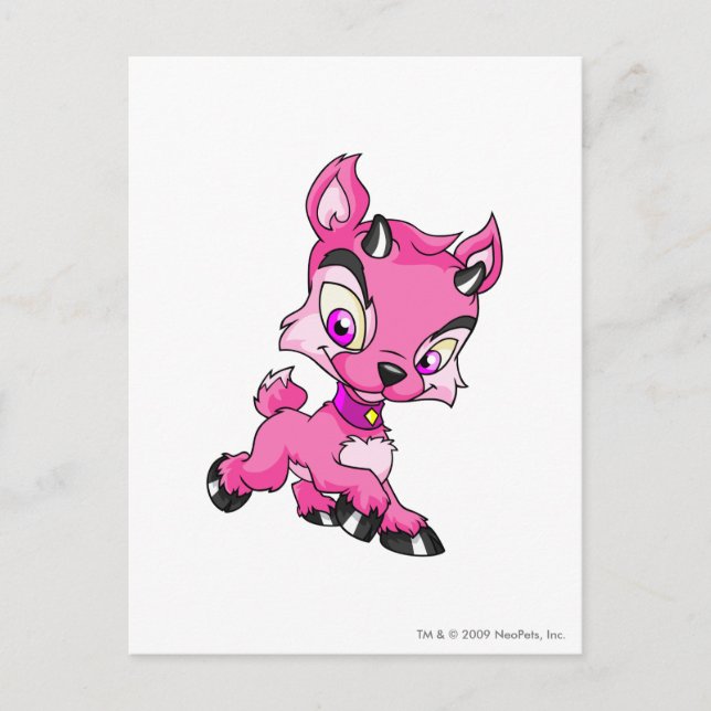 Ixi Pink Postcard (Front)