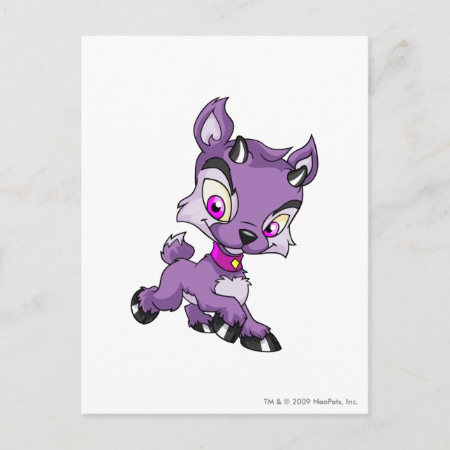Ixi Purple Postcard (Front)