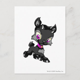Ixi Shadow Postcard