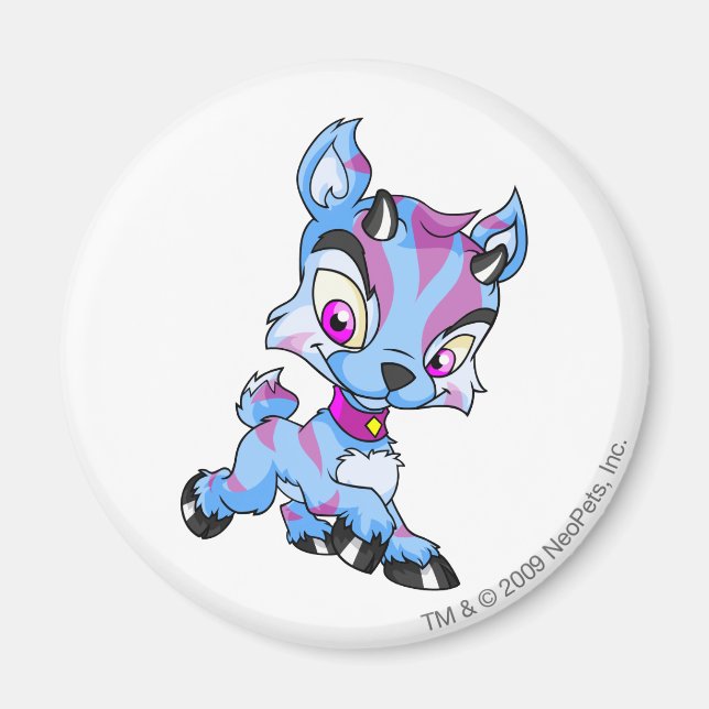 Ixi Striped Magnet (Front)
