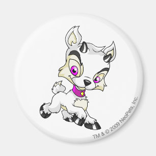Ixi White Magnet
