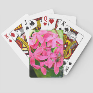 Ixora Plant Playing Cards