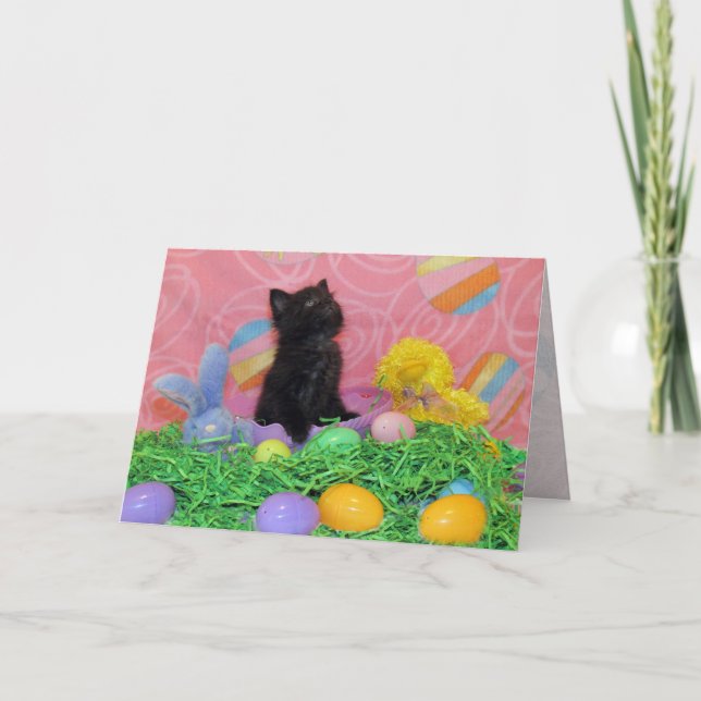 Iz Da Easter Bunny Here Yet Greeting card (Front)