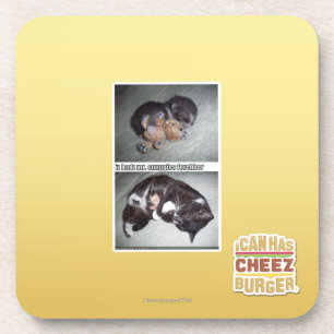 iz hadz mr. snuggies forebber coaster