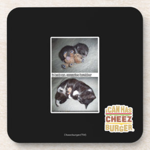 iz hadz mr. snuggies forebber coaster