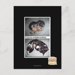 iz hadz mr. snuggies forebber postcard