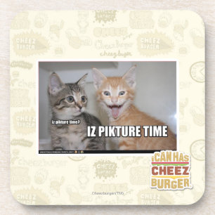 iz pikture time coaster