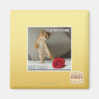 Iz practising mah tango magnet