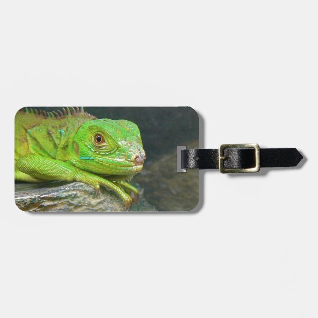 Izzy Iguanna Luggage Tag (Front Horizontal)