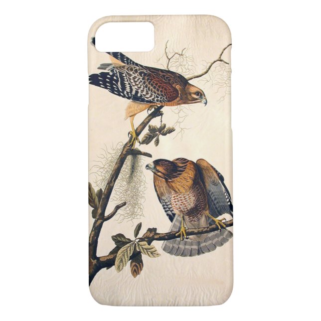 J.. Audubon (Red Shouldered Hawk) (1829) Case-Mate iPhone Case (Back)