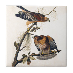 J.J. Audubon (Red Shouldered Hawk) (1829) Tile