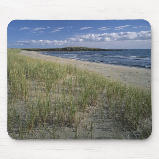 J.T. Chessman Provincial Park, Dune grass Mouse Mat (Front)