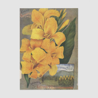 J.T. Lovett & Co 1896 Vintage Seed Catalog Flowers Tissue Paper