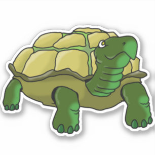 Ja-Turtle