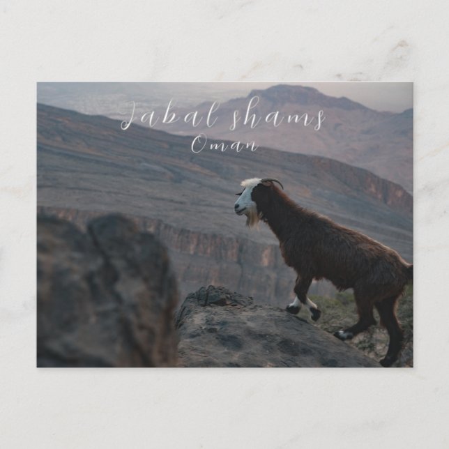 Jabal shams oman postcard (Front)