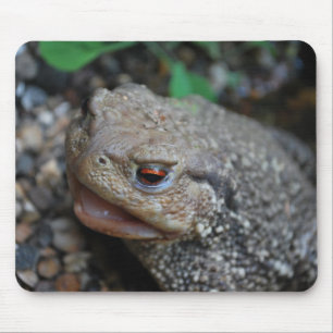 Jabba the Toad Mouse Mat