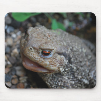 Jabba the Toad Mouse Mat