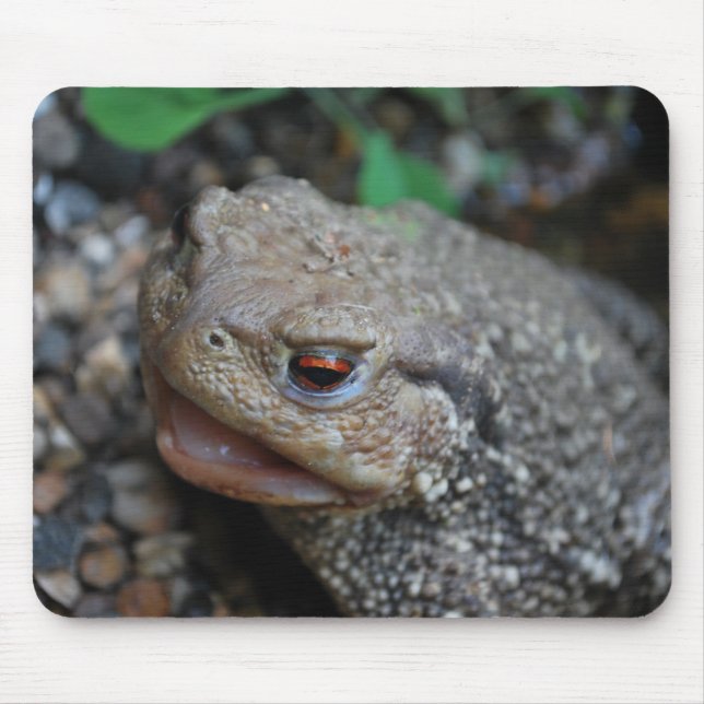 Jabba the Toad Mouse Mat (Front)