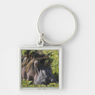 Jacana standing on hippo's (Hippopotamus Key Ring