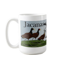Jacanas of the World